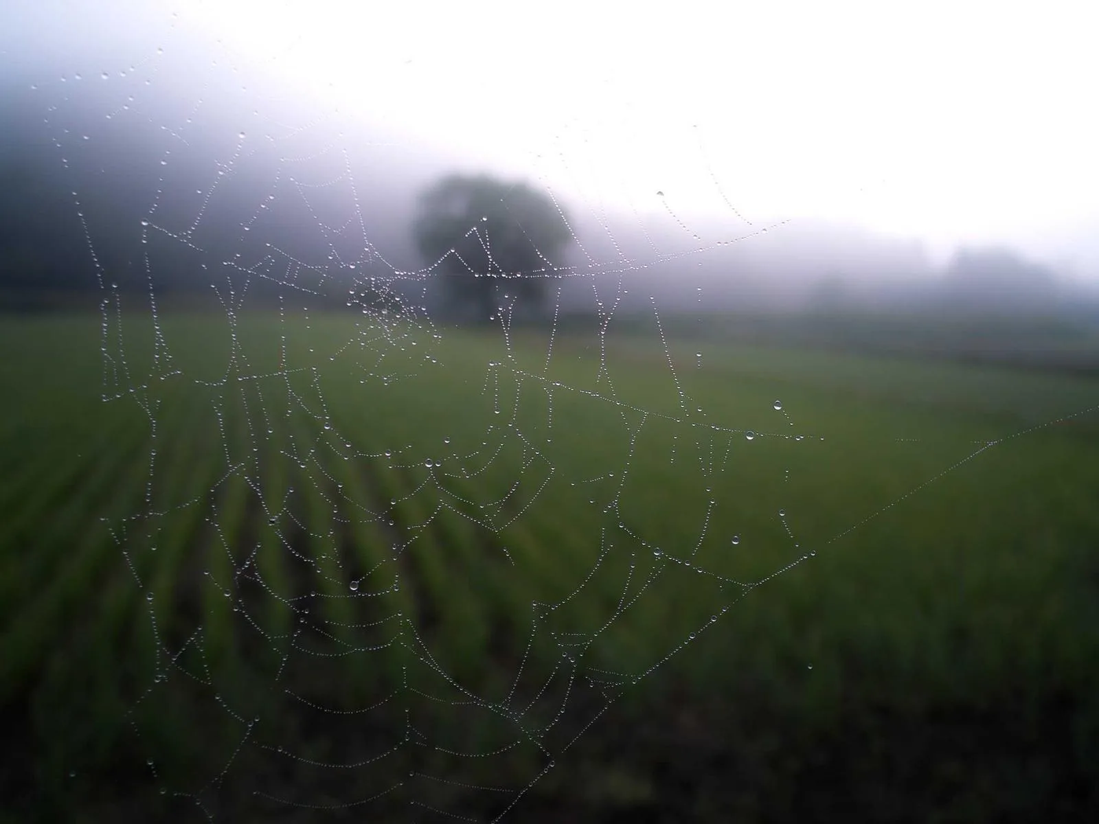 Platzhalterbild — hier kommt ein Foto eines eingebauten Funktionsteils